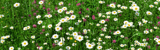 436834 (a): :3840x1200